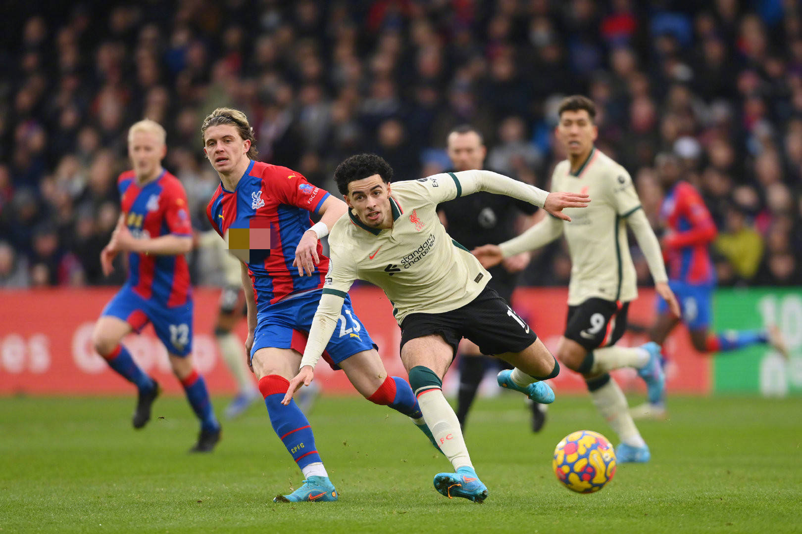 了更多历练 了更多历练